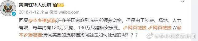 #内幕消息流浪狗的问题，是结构性矛盾，必须有人出来做“坏人”，而那些城市管理者、学校保安就扮演了“坏人”角色