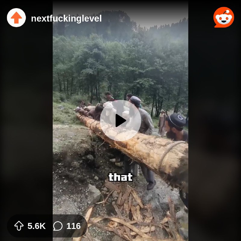From the nextfuckinglevel community on Reddit: turning a fallen tree into a valley spanning bridge