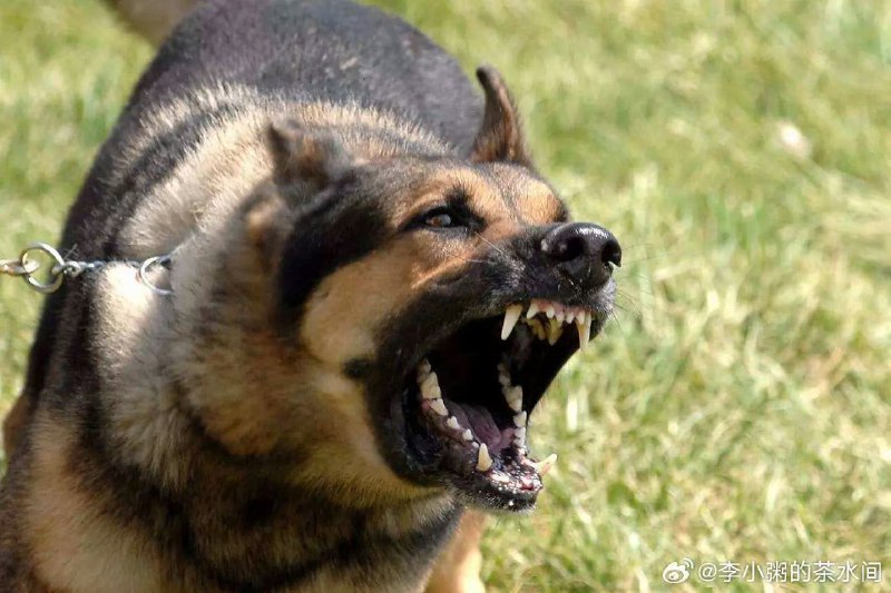#内幕消息