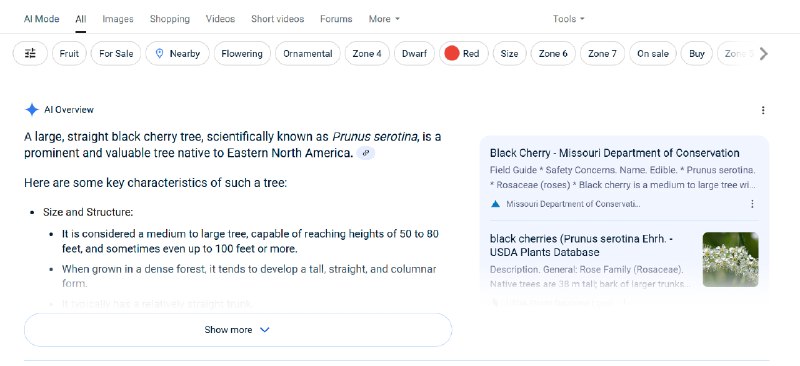 #Google #AI #搜索引擎继AI摘要之后，快速访问AI mode进行deep diver的功能也来了